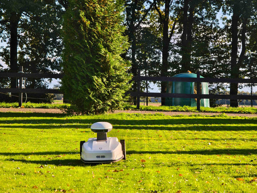 How Often Should Your Robot Mower Cut the Grass? A Guide to Optimizing Mowing Frequency