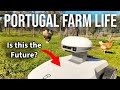 Willkommen zur 6. Staffel von Portugal Farm Life! 🌿 Testbericht zum Mähroboter FR4000!