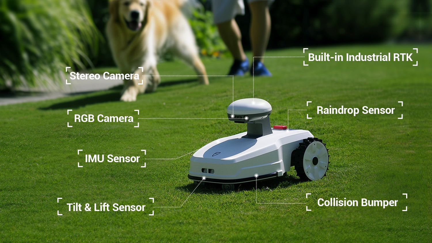 Are Robotic Lawn Mowers Quiet?