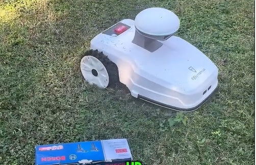 Texanische Sonne ☀️, endloses Gras 🌾 und ein Vater, der sich eine Auszeit verdient hat!