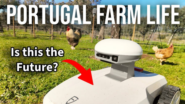 Willkommen zur 6. Staffel von Portugal Farm Life! 🌿 Testbericht zum Mähroboter FR4000!